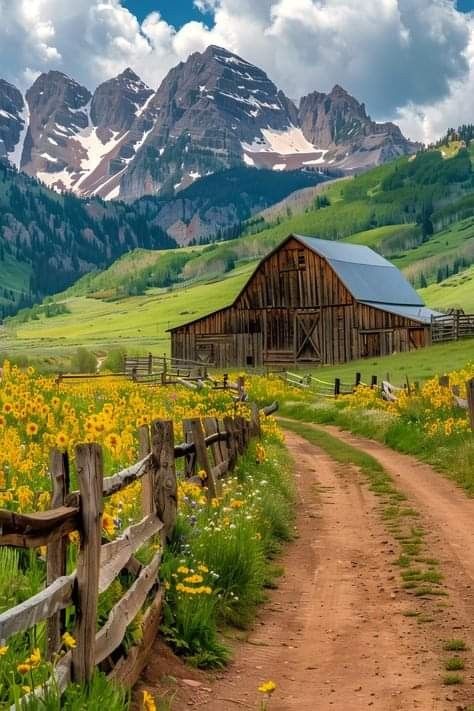 Barn Wallpaper, Old Barns Rustic, Cow Barn, Mountain Scenes, Hybrid Animals, Barn Photography, Farm Photos, Barn Pictures, Mountain Backdrop