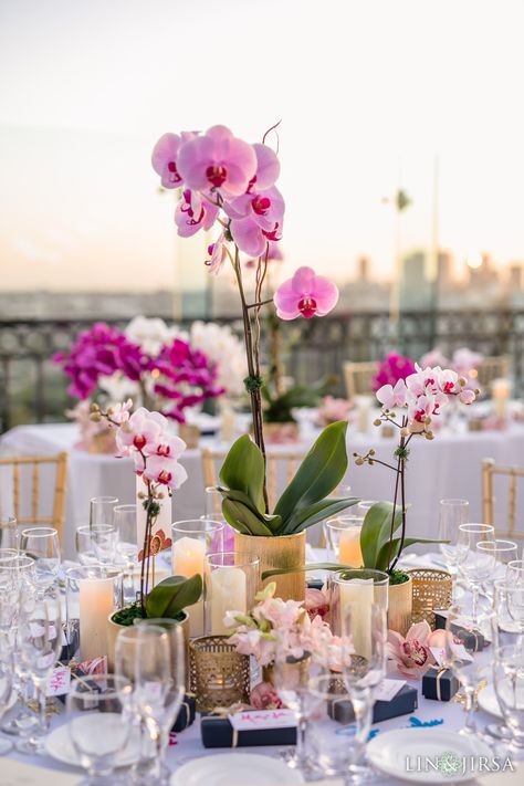 Beach Wedding Orchids, Orchid Wedding Decor Reception Ideas, Orchid Wedding Table Centerpieces, Orchids At Wedding, Orchids Table Decor, Wedding Table Orchids, Orchid Head Table Wedding, Orchid Wedding Centerpieces Simple, Orchid Floral Arrangements Wedding Ideas