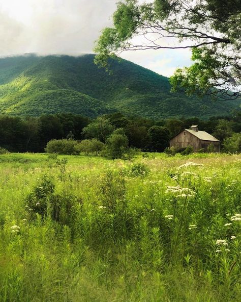 Green Outdoors Aesthetic, Vermont Countryside, Vermont Aesthetic, Primrose School, Green Mountains Vermont, Vermont Landscape, Farm Vacation, Vermont Mountains, Outdoors Aesthetic