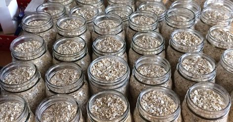 Stocking the Pantry: A Guide to Dry Canning Sugar, Flour, and Rolled Oats Dry Canning Sugar, Canning Flour, Dry Canning, Canning Process, Gallon Jars, Canning Food, Canning Food Preservation, Warm Breakfast, Survival Supplies