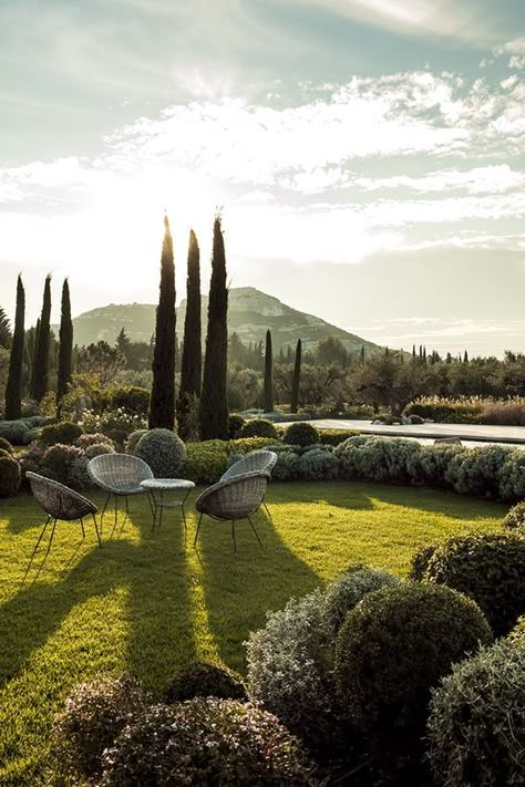 Italian Cypress Trees, Era Victoria, Provence Garden, Italian Cypress, Italian Garden, Cypress Trees, Mediterranean Garden, Outdoor Lawn, Garden Pool