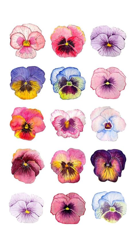 Pansies Wallpaper, Botanical Flowers Drawing, Pansy Illustration, Pantone Flower, Pansy Flowers, Watercolour Flower, Flower Collage, Flowers Illustration, Flower Clipart