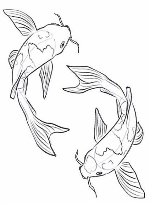 Pez Koi Tattoo, Fish Sketch, Coy Fish, Koi Painting, Koi Fish Drawing, Ocean Drawing, Fish Drawing, Koi Art, Carpe Koi