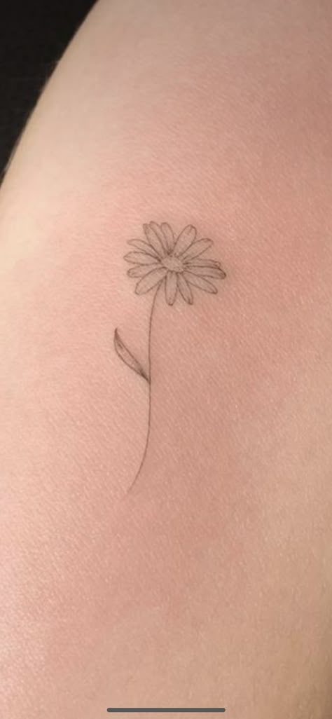 Daisy Dainty Tattoo, Dainty Aster Flower Tattoo, Dog Daisy Tattoo, Daisy Tattoo One Line, Simple Aster Tattoo, Marguerite Daisy Tattoo, Line Work Daisy Tattoo, Transvaal Daisy Tattoo, Daisy With Stem Tattoo