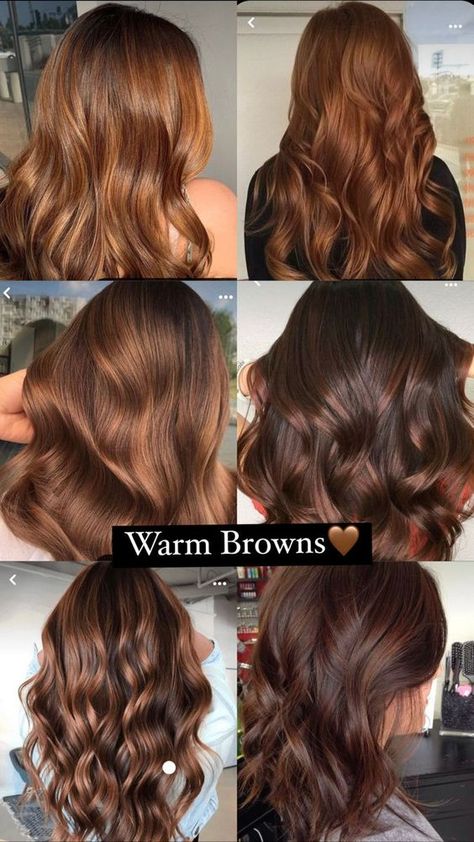 Hair Color Ideas For Brunettes Auburn, Brown Hair For Brunettes, Different Types Of Brown Hair, Trendy Hair 2024, Warm Color Hair, Auburn Brown Hair With Highlights, Warm Brown Balayage Caramel, Hair Color Warm Brown, Brown Hair With Caramel Lowlights