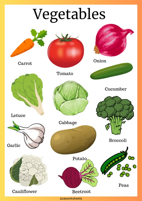 Animals, vegetables,vehicles, and fruits identification charts – azaworksheets Printable Vegetable Pictures, Fruit Vegetables Worksheet, Healthy Food Pictures For Kids, Vegetables Pictures For Kids, Big Or Small Activities, Vegetables Worksheets Kindergarten, Fruits Chart For Preschool, Vegetable Worksheets Preschool, Vegetables Worksheets For Kids