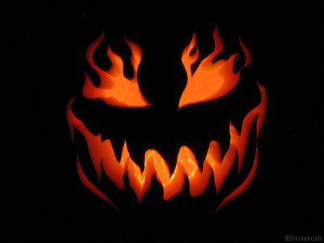 jack o lantern - Google Search Scary Halloween Pumpkins, Pumkin Carving, Halloween Pumpkin Carving Stencils, Scary Pumpkin Carving, Pumpkin Carving Designs, Halloween Pumpkin Designs, Jack O Lantern Faces, Pumpkin Carving Patterns, Carved Pumpkin