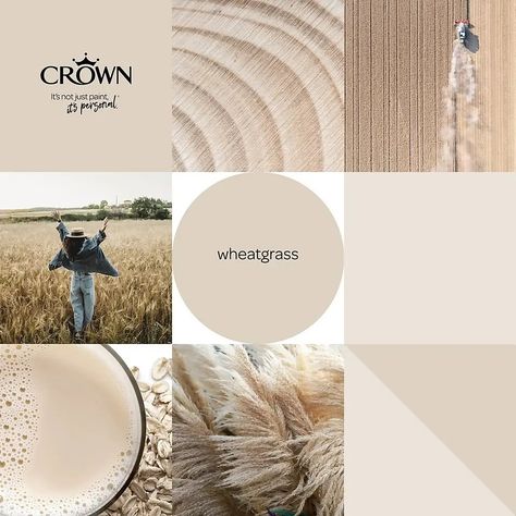 Wheatgrass Crown Paint, Crown Wheatgrass Paint, Crown Paint Colours Neutral, Warm Neutral Living Room Paint Colors, Neutral Wall Colors Bedroom, Beige Walls Bedroom Colour Palettes, Neutral Wall Color For Living Room, Best Hallway Paint Color, Crown Paint Colours