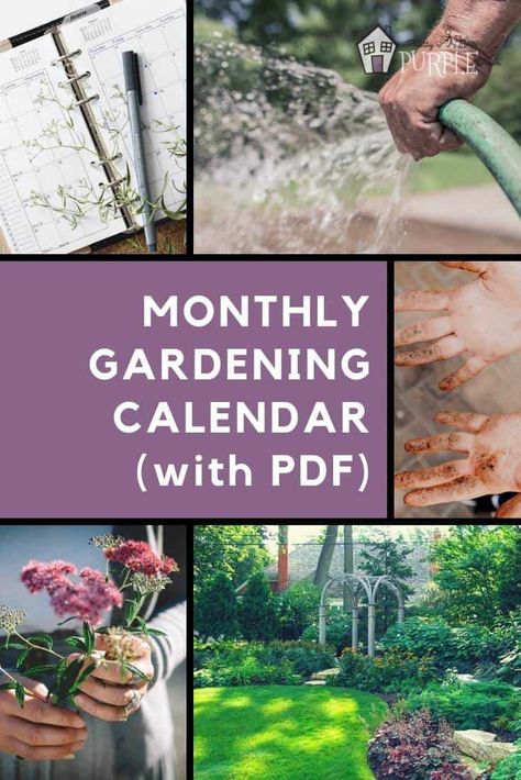 Create a Custom Gardening Calendar (a Step by Step Guide) | Pretty Purple Door Gardening Calendar, Diy Landscape, Garden Activities, New Home Owners, Add Value To Your Home, Purple Door, Garden Calendar, Organic Vegetable Garden, Garden Services