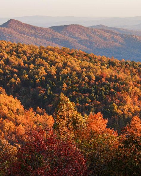 Fall Blue Ridge Mountains, Autumn Blue Ridge Mountains, Virginia Blue Ridge Mountains, Shenandoah National Park Photography, Virginia Usa Aesthetic, Peaks Of Otter Virginia, Shenandoah National Park Fall, Fall Mountains Aesthetic, Blue Ridge Mountains Aesthetic