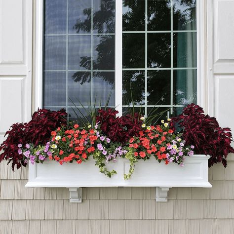 8 Best Window Planter Boxes Office Home Ideas, Cabin Front Door, Collage Apartment, Flower Window Boxes, Views Wallpaper, Window Pergolas, Flower Box Ideas, White Window Boxes, Flower Pot Arrangements