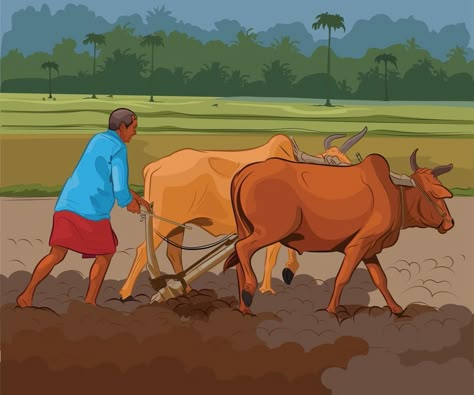 Indian farmer working in village agriculture Agriculture Drawing, Farmer Illustration, Farmer Working, Village Illustration, Farmer Painting, Village Scene Drawing, Farm Cartoon, Village Drawing, Memory Drawing