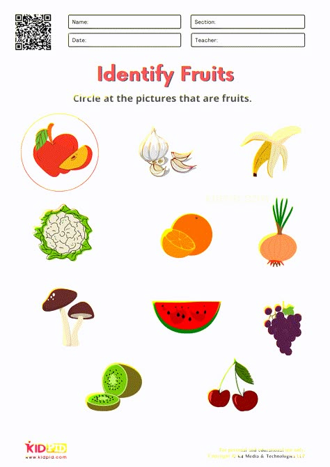 Fruits and Vegetables / FREE Printable Worksheets for Kindergarten Choose Your Fruit Evs Work Sheets For Kindergarten, Gk Worksheets For Kindergarten, Evs Worksheets For Kindergarten, Vegetables Kindergarten, Vegetable Worksheets Preschool, Circle The Fruits Worksheet, Vegetables Worksheets Kindergarten, Fruit Worksheets For Kids, Fruits Worksheets For Kindergarten