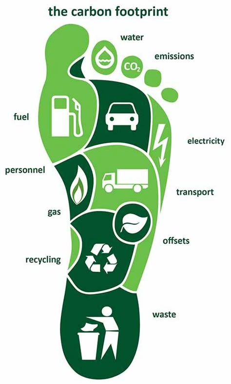 Use this for a spread - but not carbon footprint...how we spend our time during the day? A graph with percentages... Footprint Poster, Carbon Footprint Calculator, Environmentally Friendly Living, Reducing Carbon Footprint, Save Environment, Save Our Earth, Ecological Footprint, Environment Day, Energy Technology