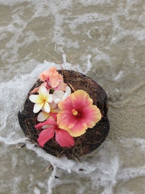 Tropical Island Aesthetic, Aura Flower, Hawaiian Aesthetic, Aloha Flower, Hawaiian Life, Island Flowers, Coconut Dream, Island Sunset, Mode Rose