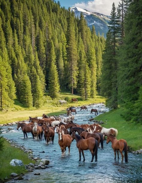 Oklahoma Mountains, Wyoming Mountains, Bear Island, Love In Life, Western Wallpaper Iphone, 1st Love, Urban Beauty, Western United States, Beautiful Nature Wallpaper Hd