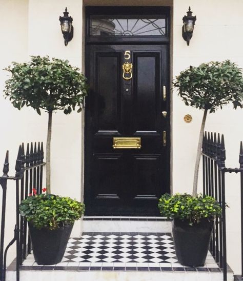 Black front door in London photo by Christina Dandar for The Potted Boxwood Black Front Entry Door, London Front Door, Potted Boxwood, Black Front Door, Black Front Doors, House Photo, Front Door Entrance, Door Entrance, Front Steps