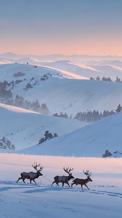 Picture this: a serene winter wonderland with snow-covered trees and majestic snowy mountains. 🏔️✨ Spot the playful reindeer prancing through the soft blanket of snow. Perfect vibes for the holiday season! ❄️🎄 #WinterMagic Snow Landscape Aesthetic, Winter Forest Photography, Snow Forest Illustration, Snowy Norway, Soft Winter Aesthetic, Snow Landscape Photography, Winter Scenes Photography, Snowy Wallpaper, Winter Wonderland Aesthetic