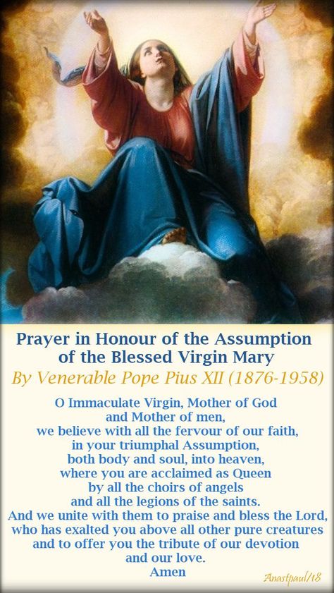 The Assumption Of Mary Into Heaven, Feast Of The Assumption Of Mary, Assumption Of The Blessed Virgin Mary, Mother Mary Quotes, Pius Xii, Morning Offering, Pope Pius Xii, Assumption Of Mary, Mother Mary Images