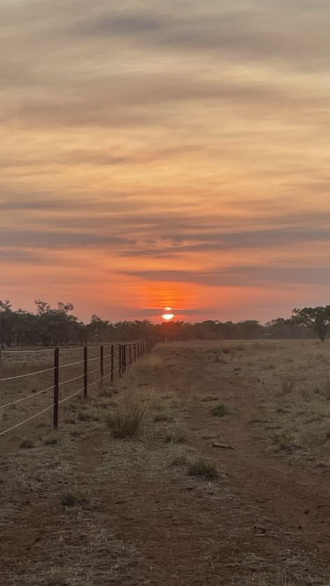 Outback Aesthetic, Australian Countryside, Cattle Station, Southern Aesthetic, Something In The Orange, Country Sunset, Country Views, Sunflower Girl, Country Backgrounds