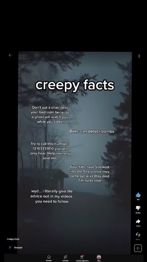 Creepy Facts... Did You Know Scary Facts, Horror Numbers To Call, Creepy Phone Numbers To Call, Creepy Numbers To Call, Creepy Facts Scary, Creepy Theories, Real Creepy Facts, Funny Numbers To Call, Terrifying Facts