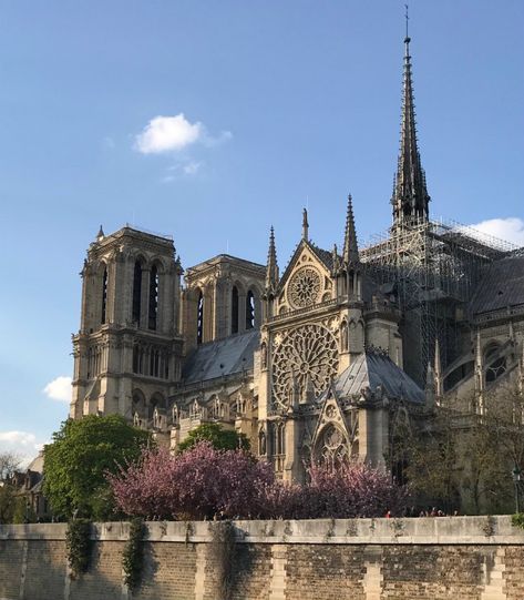 Noter Dame, Architecture Photography Buildings, Paris Architecture, Notre Dame Cathedral, Gothic Cathedrals, Cathedral Architecture, Tourist Office, Sacred Architecture, Building Designs