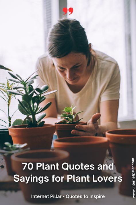 70 Plant Quotes and Sayings for Plant Lovers - quotes | inspirational quotes | motivational quotes | inspiring quotes | quotes of the day | quotes about life | life quotes | love quotes - #quotes #love #motivation #inspiration #life #quote #quoteoftheday #success #motivationalquotes #inspirationalquotes #quotestoliveby #photooftheday #happy #travel #lifestyle #positivevibes #lifequotes #instagram #poetry #follow #nature #inspiringquotes #selfimprovement Quotes About Plants Inspiration, Planting Quotes Life Inspiration, Plant Growing Quotes Life, Plant Love Quotes, Plant Friends Quotes, Plant Quotes Life Inspiration Short, Plants Lover Quotes, Plant Quotes Life Inspiration, Plant Lady Quotes