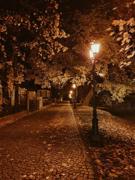 Autumn Night Aesthetic, Fall Night Aesthetic, Street Lights Aesthetic, Fall At Night, Autumn Dark Aesthetic, Twilight Autumn, Night Autumn, Autumn City, Halloween Street