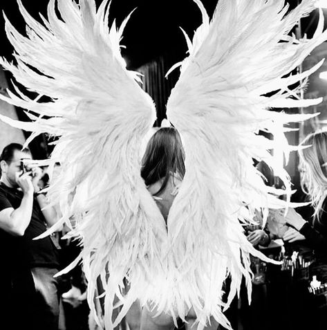 Victoria Secret Wings, Mode Gossip Girl, Victoria's Secret Aesthetic, Gizele Oliveira, Estilo Hippy, Vs Fashion Shows, Vs Models, Vs Angels, Victoria's Secret Angel