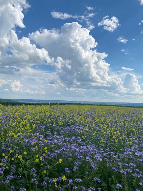 Grassland Aesthetic, Spring Landscape Photography, Landscape Photography Nature, Pretty Landscapes, Pretty Sky, Alam Yang Indah, Beautiful Nature Pictures, Nature Aesthetic, Sky Aesthetic