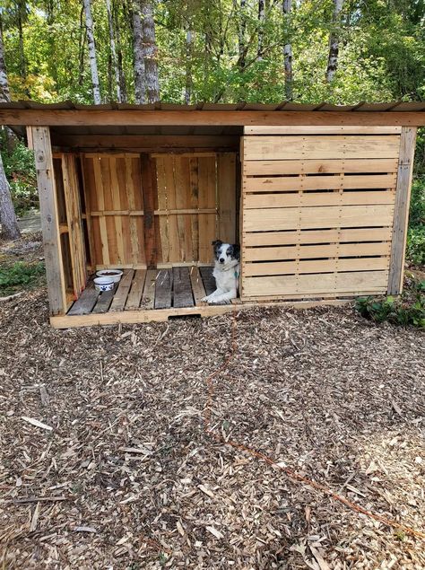 Pallet Kennel Dog, Diy Dog Outside Area, Easy Dog Kennel Outdoor, Dog House Of Pallets, Outdoor Dog Kennels Ideas Backyards, Pallet Dog Shelter, Diy Dog Kennel Outdoor Pallets, Storage Shed Turned Into Dog House, Dog Pallet Projects