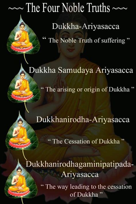 The Four Noble Truths Four Noble Truths Buddhism, The Four Noble Truths, 4 Noble Truths Buddhism, Dukkha Buddha, 4 Noble Truths, Four Noble Truths, Buddhism Beliefs, Eightfold Path, Noble Truths