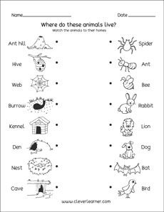 Kindergarten printables on animal homes Animal And Their Homes Worksheets, Animal Homes Kindergarten, Homes Of Animals Worksheet, Animals Home Worksheet, Animal Homes Worksheet, Animals And Their Homes Printables, Animal Homes Preschool, Animals And Their Homes Worksheets, Animals House Preschool