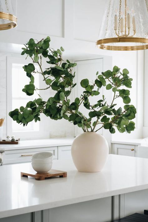 Fill your home with all our natural stems and faux potted plants 🪴🍃 Modern Organic Decor, Spring Home Decor Ideas, Paint Color Combos, Greenery Plants, Faux Branches, Staging Furniture, Flora Garden, Aspen Leaf, Faux Leaf