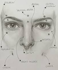 Eyebrow Piercing Chart, Pericings And There Names Face, How To Draw Nose Piercings, Eyebrow Piercing Drawing, Female Facial Piercings, Best Piercings For Face Shape, Cute Facial Piercings Ideas, Piercing Chart Face, Cute Piercings Ideas Face