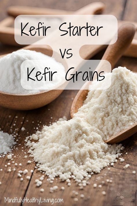 A Pinterest-optimized image of A wooden bowl of freeze-dried kefir starter powder next to a bowl of kefir starter grains and text overlay that says kefir starter vs kefir grains mindfullyhealthyliving.com Vegan Kefir Recipe, Kefir Grains How To Make, Making Kefir At Home, What To Do With Kefir, Homemade Kefir Recipes, How To Make Kefir At Home, Vegan Kefir, Making Kefir, Homemade Kefir