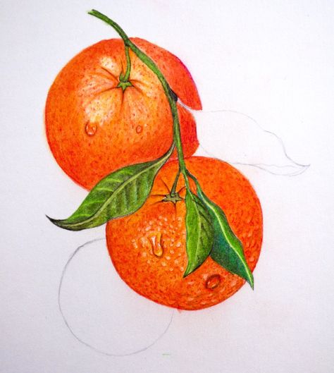 Colour Pencil Art, Fruit Sketch, Colour Pencil Drawing, Color Pencil Drawings, Fruit Art Drawings, Steam Art, Color Pencil Sketch, Prismacolor Art, Fruits Drawing