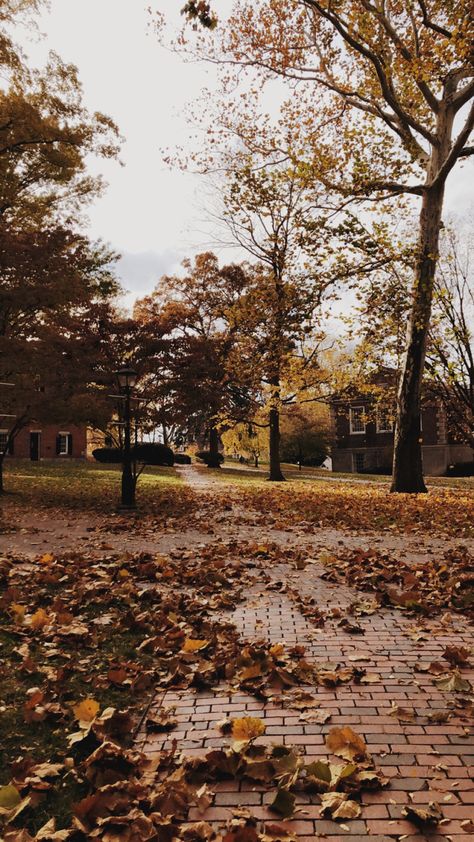 Athens Ohio Aesthetic, Ohio University Aesthetic, Autumn College Aesthetic, Leaving For College Aesthetic, Autumn University Aesthetic, Fall University Aesthetic, College Asthetic Picture, Campus Life Aesthetic, College Astethic