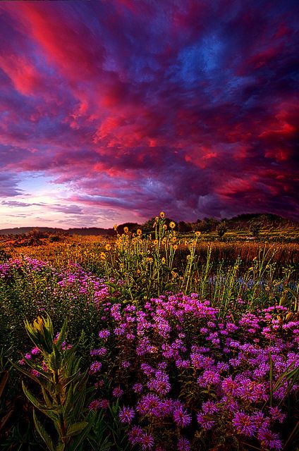 Life Love and Hope!; Photographer: Phil Koch Colorful Landscape Photography, Hope Art, Open Sky, Milwaukee Wisconsin, Beautiful Sky, Beautiful Sunset, Beautiful Photography, Amazing Nature, Nature Pictures