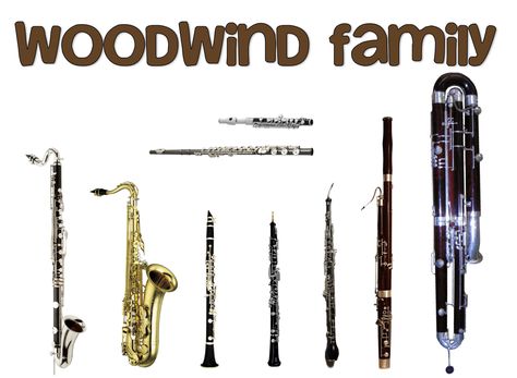 Musical Instruments and their Families Series: The Woodwind Family — Musichalice Woodwind Family, Learn To Read Music, Instruments Of The Orchestra, Why I Teach, Second Grade Ideas, Instrument Families, Music Teaching Ideas, Music Teaching Resources, Elementary Music Lessons