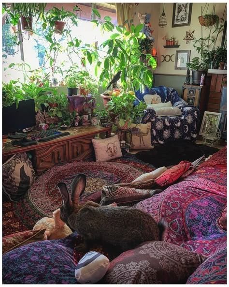 Witchcraft Plants, Dream Witch, Young Room, Dream Homestead, Future Decor, Hippie Bedroom Decor, Lots Of Plants, Pagan Decor, Forest Witch