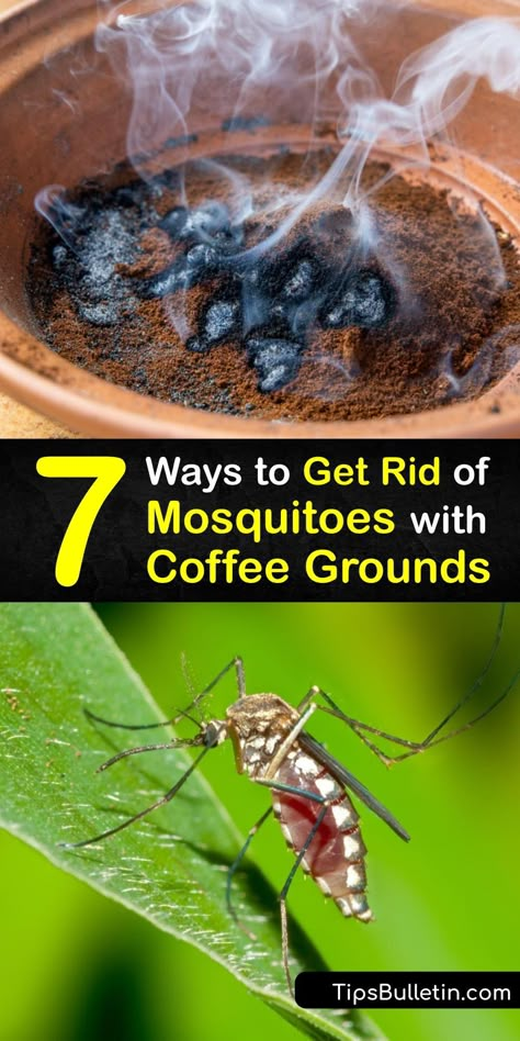 After being ground, coffee bean residue is a perfect mosquito repellent to repel mosquito pests. Fresh or burnt coffee grounds repel mosquitoes due to their pungent aroma. Add them to water, sprinkle them around, or burn them for mosquito control. #coffee #grounds #mosquitoes #getridof What Kills Mosquitos, Natural Mosquito Repellant For Home, Best Mosquito Repellent For Yard, Plants That Ward Off Mosquitos, Home Mosquito Repellent, Pest Repellent Diy, Mosquitoes Repellent For Yard, Indoor Mosquito Repellent Diy, Homemade Misquote Repellent