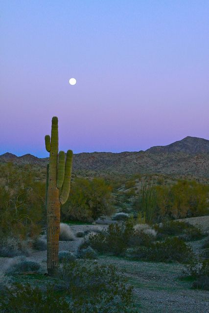 Noisy Plume, Earth Aesthetic, Pretty Sky, Nature Aesthetic, Pretty Places, Sky Aesthetic, Travel Aesthetic, Full Moon, Beautiful World