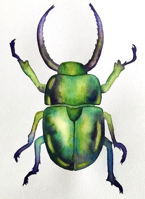 Beetle Drawing, Beetle Art, Watercolor Kit, Bug Art, Insect Art, Scientific Illustration, Bugs And Insects, Watercolor On Paper, Watercolor Inspiration