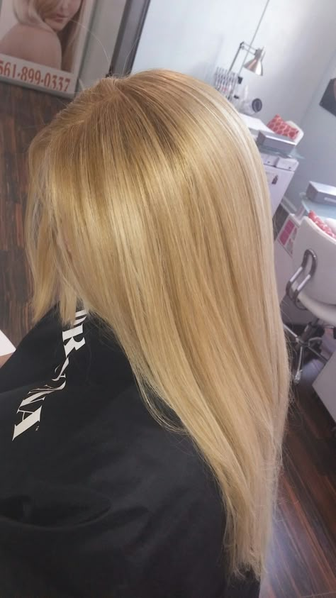 Solid Light Blonde Hair, Level 6 Blonde, Harvest Blonde, Blonde Hair Yellow, Level 10 Blonde, Gold Blonde Hair, Blonde Hair Tips, 2023 Hair Color, Yellow Blonde Hair