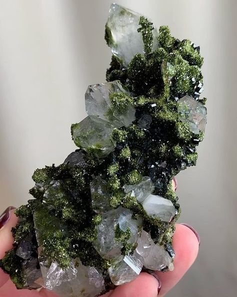 Pretty Rocks Stones, Green Crystal Aesthetic, Green Crystals Aesthetic, Minerals Aesthetic, Crystals In Nature, Gem Aesthetic, Gems Aesthetic, Rocks Aesthetic, Earth Crystals