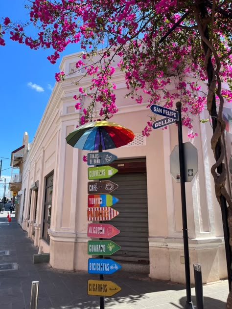 The Umbrella Street in Puerto Plata ❤️❤️ Dominican Republic Streets, Puerto Plata Aesthetic, Life In Puerto Rico, Dominican Republic Aesthetic, Dominican Republic Outfits, Puerto Rico Aesthetic, Dominican Republic Puerto Plata, Puerto Plata Dominican Republic, Umbrella Street