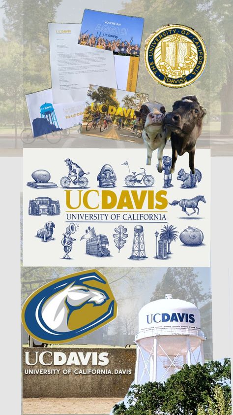 uc davis loa manifesting 1080 x 2400 wallpaper Ucdavis Aesthetic, 1080 X 2400 Wallpaper, Uc Davis Vet School, Loa Manifesting, Davis California, California Aesthetic, Uc Davis, Vet School, Dream Future