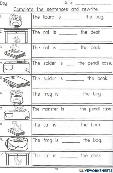 Proposition Worksheet For Grade 1, Prepositions For Grade 1, Ks1 English Worksheets, Position Words Worksheet Grade 1, English Year 1 Worksheet, Preposition Worksheets Grade 1, One And Many Worksheet For Class 1, Preposition Worksheets For Grade 3, In On Under Worksheet For Kids