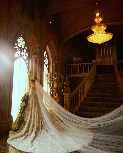 2022 Fall Wedding Dresses, Royal Photoshoot Ideas Couple, Royal Wedding Inspiration, Princess Wedding Dresses Aesthetic, Regal Wedding Photos, Fairytale Wedding Photoshoot, Korean Wedding Aesthetic, Royal Photoshoot Ideas, Royal Wedding Photoshoot